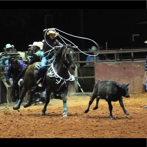 Meet your Posher, Ashlynn